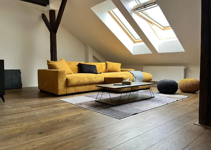 Loft 公寓 *